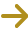 Arrow icon